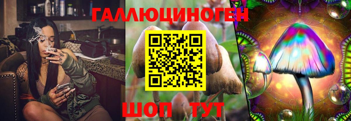 Псилоцибиновые грибы GOLDEN TEACHER Фурманов